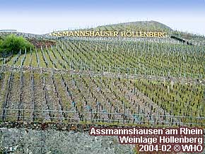 Assmannshausen am Rhein, Weinlage Höllenberg