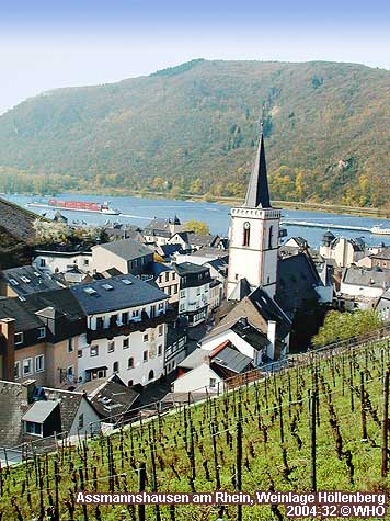 Assmannshausen am Rhein, Weinlage Hllenberg