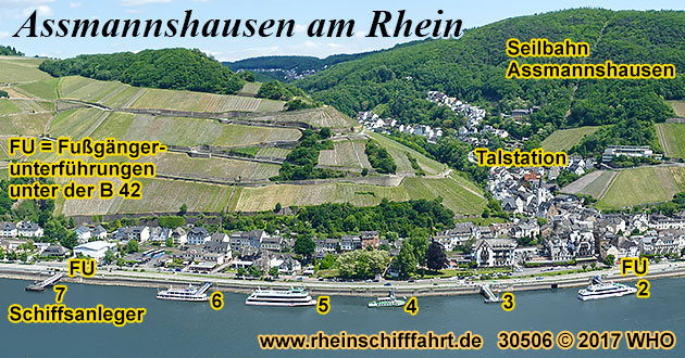 Blick von der Waldgaststätte "Schweizerhaus", ca. 15 Fußminuten oberhalb von Burg Rheinstein, auf Assmannshausen bei Rüdesheim im Rheingau. Foto: © 2005 WHO